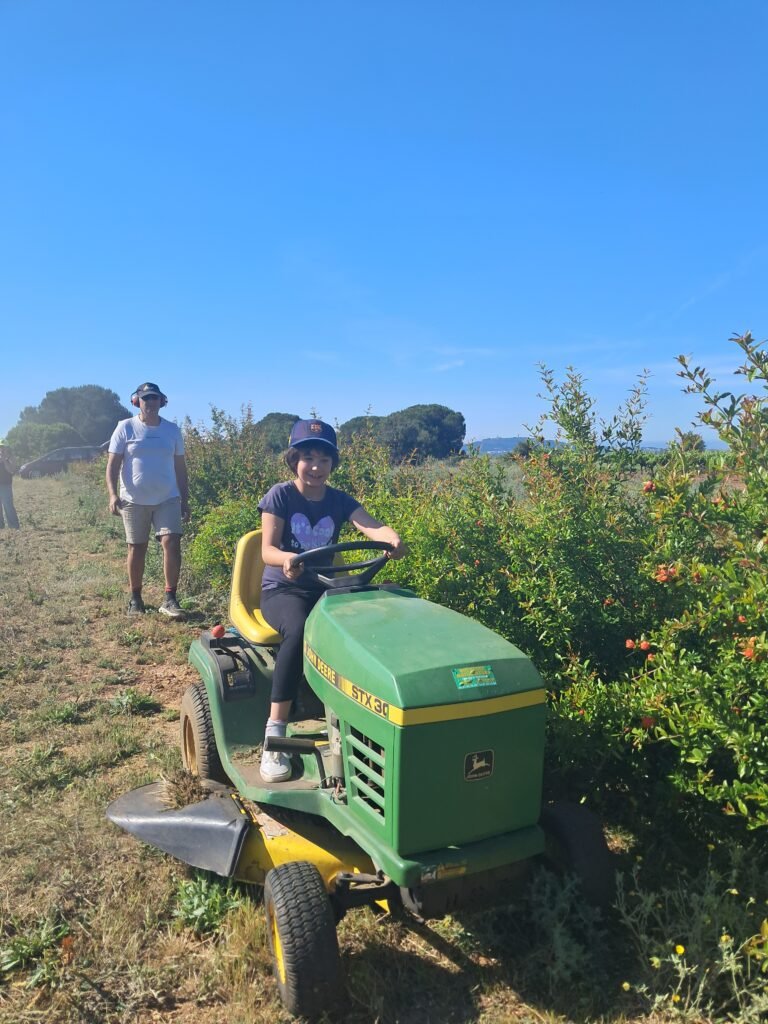 Nouvelles plantations au verger pédagogique de Marseillan (Hérault)